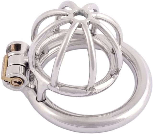 sex toys chastity Wearable Metal Flat Chastity Cage – Xinghaoya main image 1
